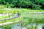 Ydpark025.jpg