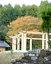 Sunc559.jpg