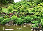 pond