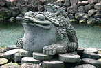 frogs