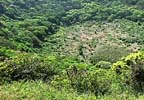 Sangumburi Crater
