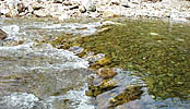 stream